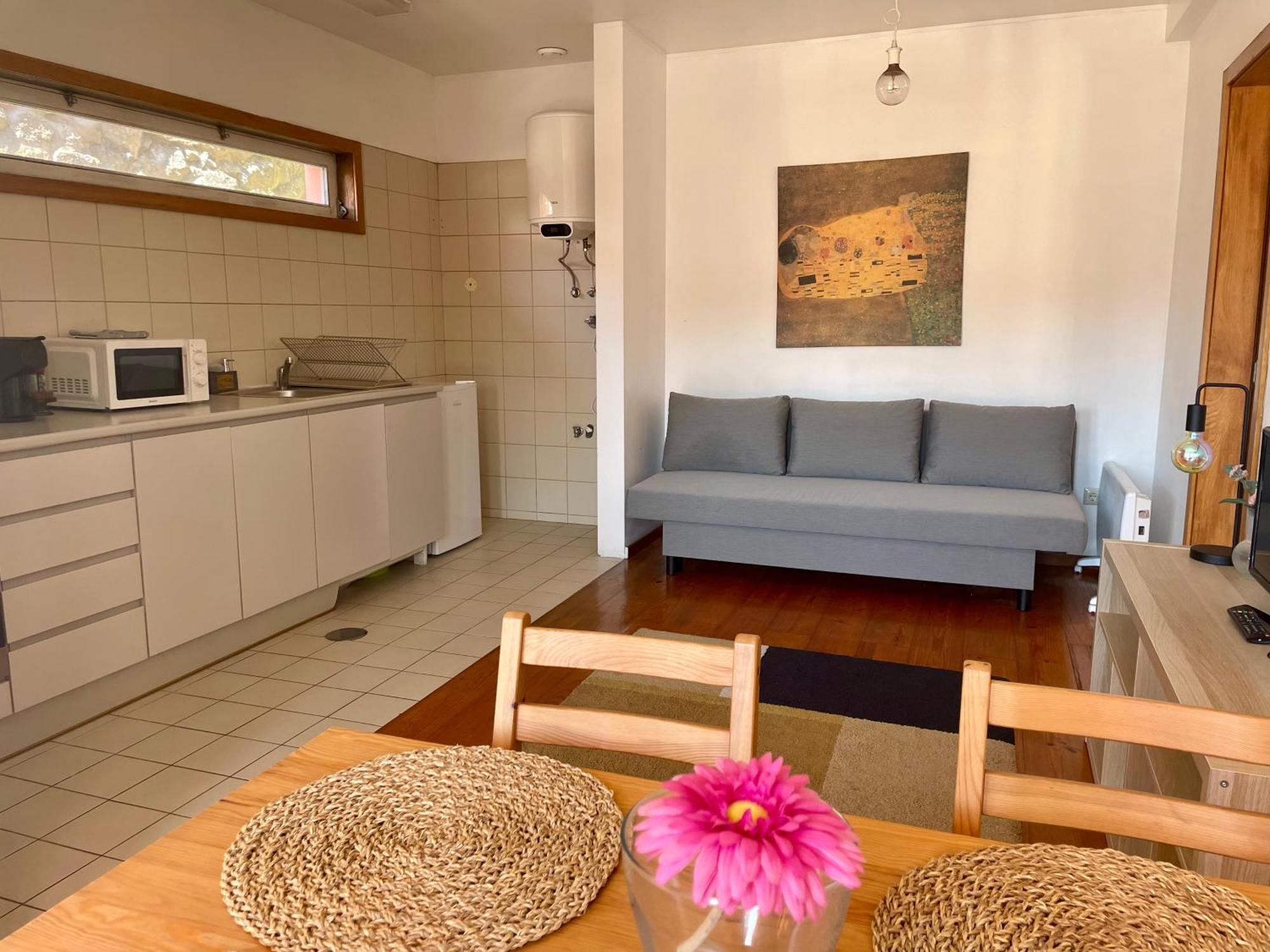 Douro River Charming Flats Porto Luaran gambar